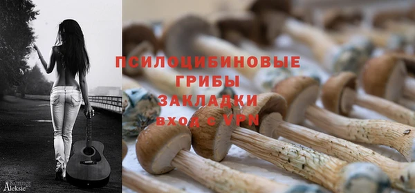 дмт Гусь-Хрустальный