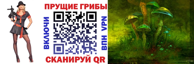 Галлюциногенные грибы MAGIC MUSHROOMS  Купить где  Асино 