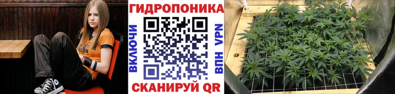 Купить  Асино  Шишки марихуана планчик 